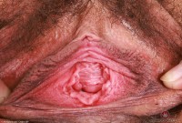 ATK hairy Dakota Marr in mature and hairy