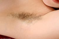 ATK hairy Dalia Set