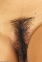 ATK hairy  in exotic and hairy