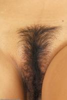 ATK hairy  in exotic and hairy
