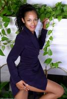 ATK hairy  in exotic and hairy