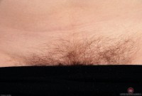 ATK hairy Dawna Set