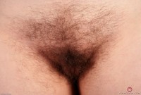 ATK hairy Dawna Set