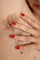 ATK hairy Dawna Set