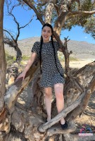 ATK Girlfriends Daydream Daisy Set