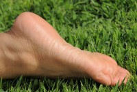 ATK hairy Delilah Set