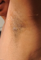 ATK hairy Delilah Set