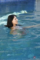 ATK hairy Delta Hauser Set