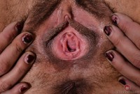 ATK hairy Delta Hauser Set