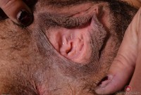 ATK hairy Delta Hauser Set