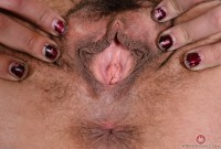 ATK hairy Delta Hauser Set