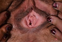 ATK hairy Delta Hauser Set