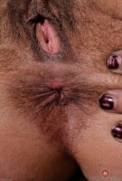 ATK hairy Delta Hauser Set