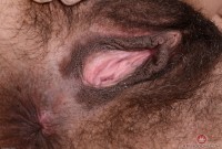 ATK hairy Delta Hauser Set