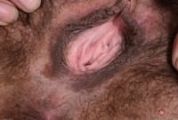 ATK hairy Delta Hauser Set