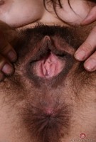 ATK hairy Delta Hauser Set