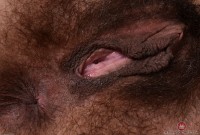 ATK hairy Delta Hauser Set