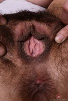 ATK hairy Delta Hauser Set