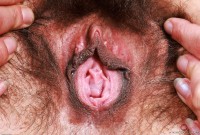 ATK hairy Delta Hauser Set