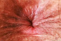 ATK hairy Delta Hauser Set