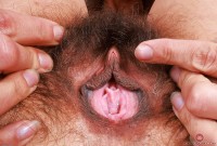 ATK hairy Delta Hauser Set