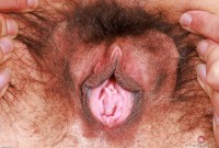ATK hairy Delta Hauser Set
