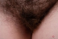 ATK hairy Delphine Set