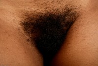 ATK hairy Destiny in exotic and hairy