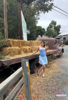 ATK Girlfriends Dez Hansen Set