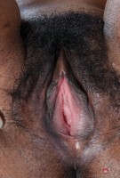 ATK hairy Janelle Taylor Set