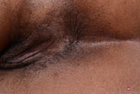 ATK hairy Janelle Taylor Set