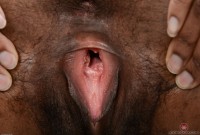 ATK hairy Janelle Taylor Set