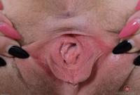 ATK hairy Dresden Set