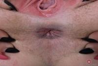 ATK hairy Dresden Set