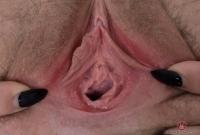 ATK hairy Dresden Set