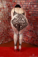 ATK hairy Dria Submits Set