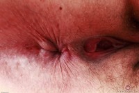 ATK hairy Dria Submits Set