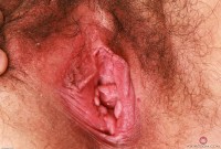 ATK hairy Dria Submits Set