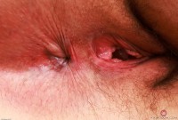 ATK hairy Dria Submits Set