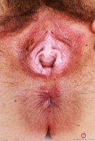 ATK hairy Dria Submits Set