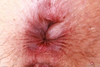 ATK hairy Dria Submits Set