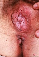 ATK hairy Dria Submits in mature and hairy