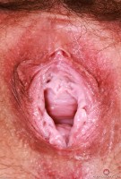 ATK hairy Dria Submits in mature and hairy