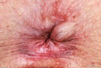 ATK hairy Dria Submits in mature and hairy