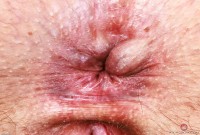 ATK hairy Dria Submits in mature and hairy