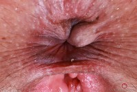 ATK hairy Dria Submits in mature and hairy