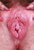 ATK hairy Dria Submits Set