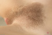 ATK hairy Ekaterina Ananasova Set