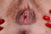 ATK hairy Elexis Monroe Set