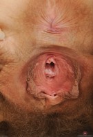ATK hairy Eleanor Rose in scary hairy